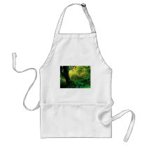 Olympic National Park, Washington Apron