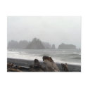 Olympic Peninsula Sea Stacks Postcard