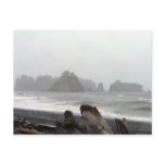 Olympic Peninsula Sea Stacks Postcard