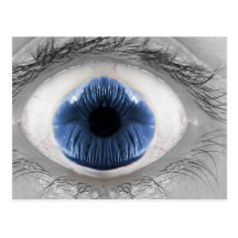 Om-Eye Blue Post Cards