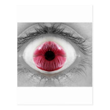 Om-eye! Post Card