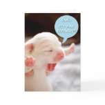 OMG Birthday! Card