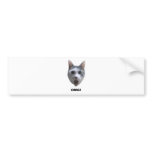 OMG CAT! (what has he seen?) bumper stickers
