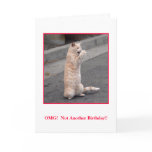 OMG:  Not Another Birthday! cards
