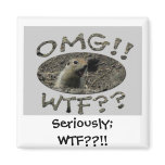 OMG WTF Gopher; Sassy magnets