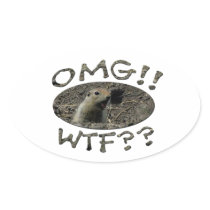 OMG WTF Gopher Oval Stickers