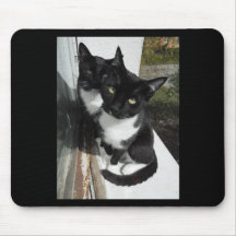 Ominous Cats Mouse Pads