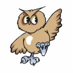 Omni Owl Photo Cutouts