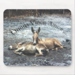 Omnia Vincit Amor Mousemats