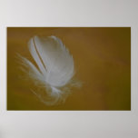 On A Wisp of a feather Posters