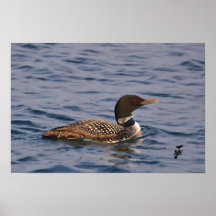 On Patrol Print