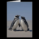 On the Beach Card cards
