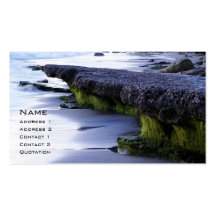 On the Coast Business Card