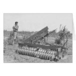 On the farm in the 1940's cards