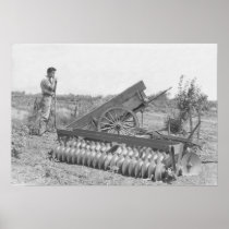 On the farm in the 1940's posters