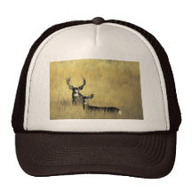 On the Lookout Mule Deer Hat