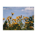 On the Prairie, Missouri Prairie postcards