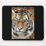 On The Prowl Mouse Mats