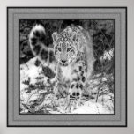 On the Prowl Poster posters