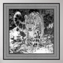 On the Prowl Poster