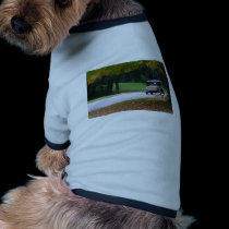 On The Road Again pet clothing