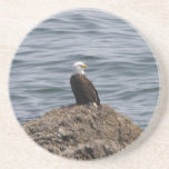 "On the Rock!" Beverage Coaster