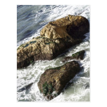 on the rocks postcards