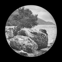 On the shores of Loch Ness B&W magnets