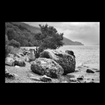 On the shores of Loch Ness B&W posters