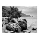 On the shores of Loch Ness with the monster Postcards