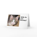 On your Birthday cards