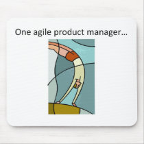 One Agile Product Manager...