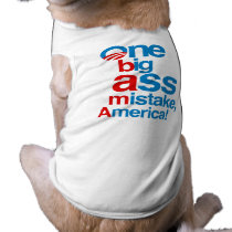 One big ass mistake, America -