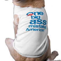 One big ass mistake, America