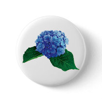 One Blue Hydrangea