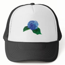 One Blue Hydrangea