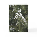 One Branch Greeting Cards