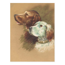 One Brown and One White Dog Postcards