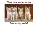 One can never have, too many cats! t-shirts