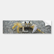 One Claw Joe Bumper Sticker