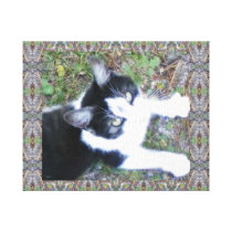 One Cool Cat (Boy) Stretched Canvas Prints