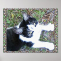 One Cool Cat (Boy) Poster