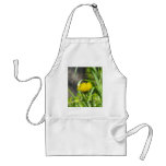 One Dandelion aprons