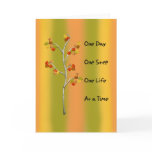One Day One Step cards