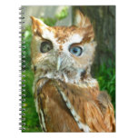 "One-Eyed Screechy" Notebook