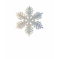 One Glittery Snowflake