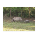 One horned rhinoceros Chitwan National Park Nepal postcards