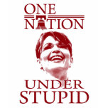 "One Nation, Under Stupid" t-shirts