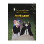 One Night It's OK to PROWL postcards