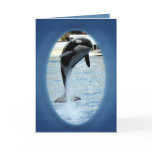 One Orca at Marineland (france) cards